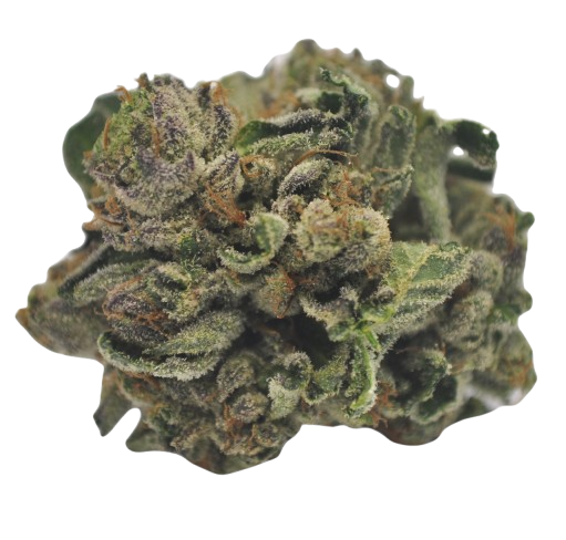 Purps