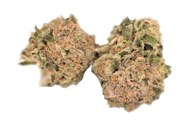 Galaxy Walker OG
