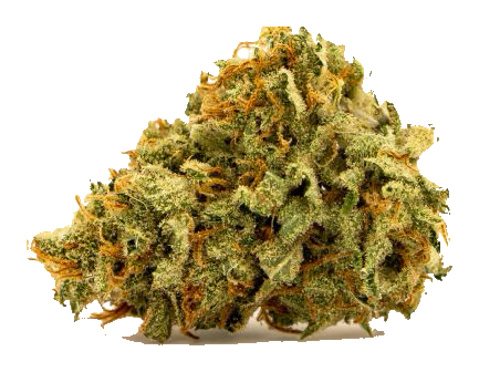 Ghost Train Haze