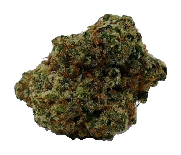 Zookies