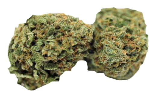 Jack Herer