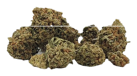 Jack Herer