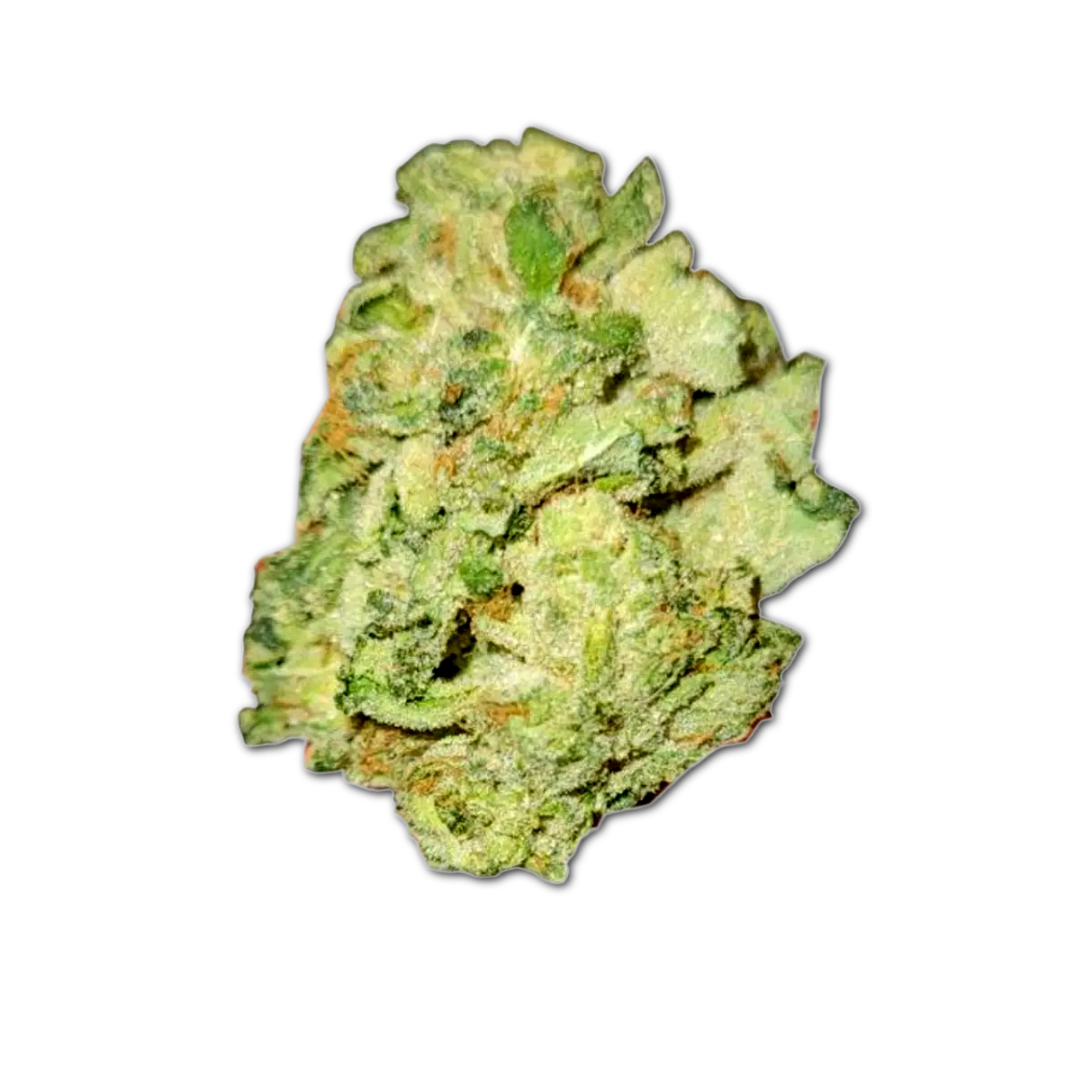 Galaxy Walker OG