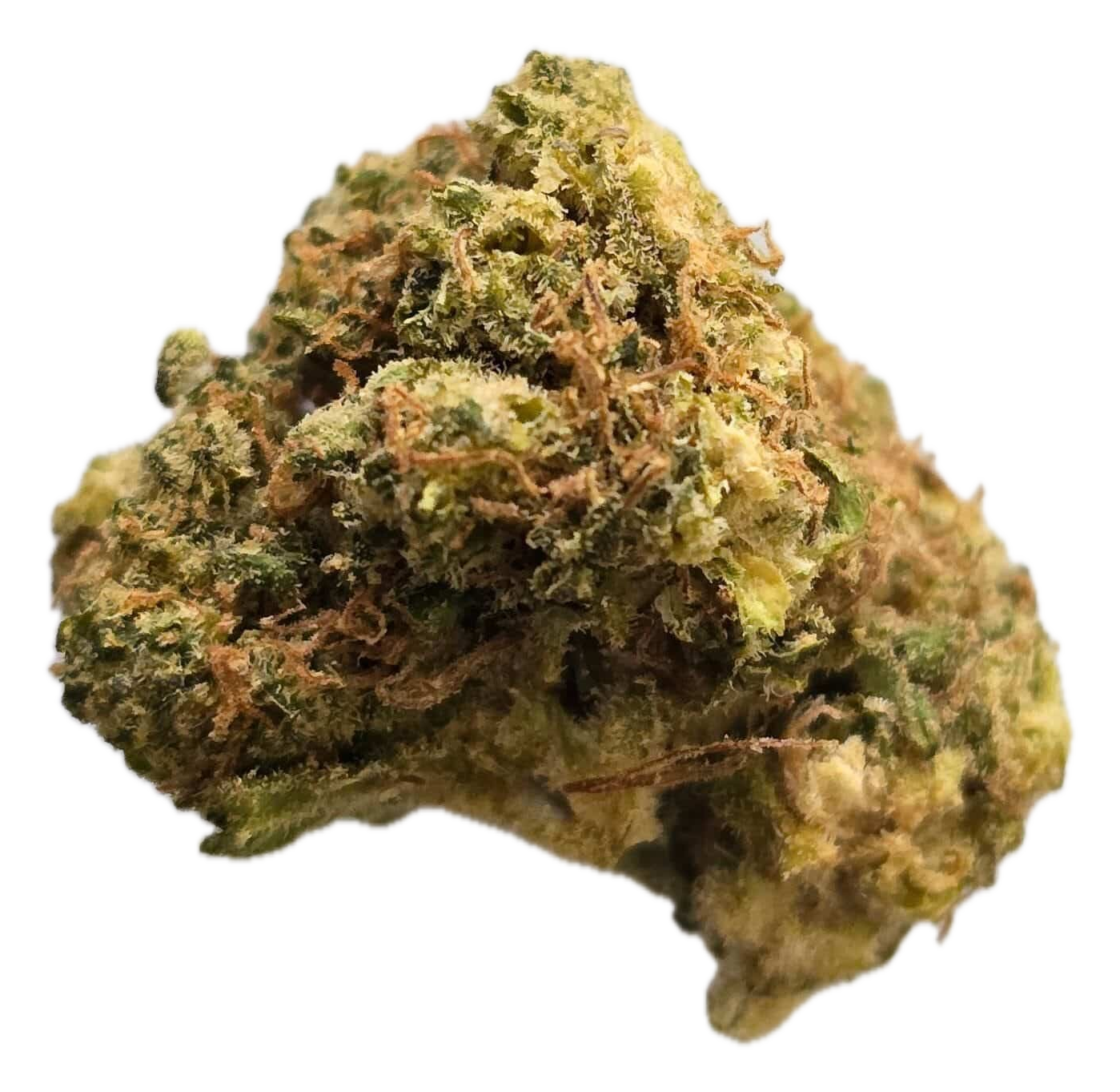 Jack Haze