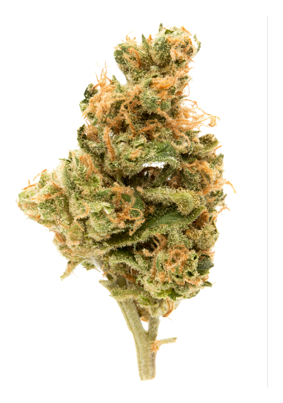 Bakerstreet (Hindu Kush)