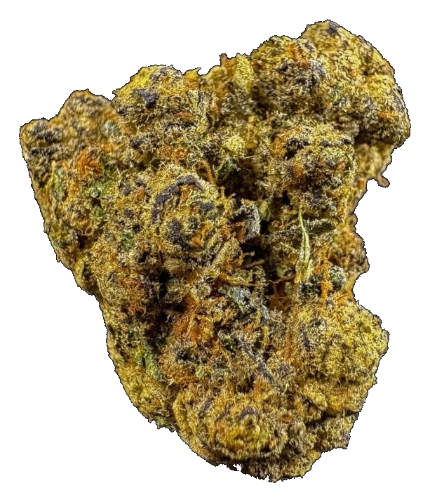 Gelato 33